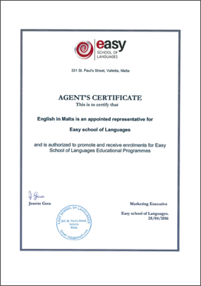 Easy Easy